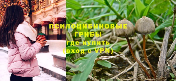 не бодяженный Алексин
