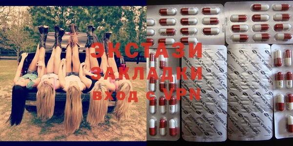 PSILOCYBIN Алзамай